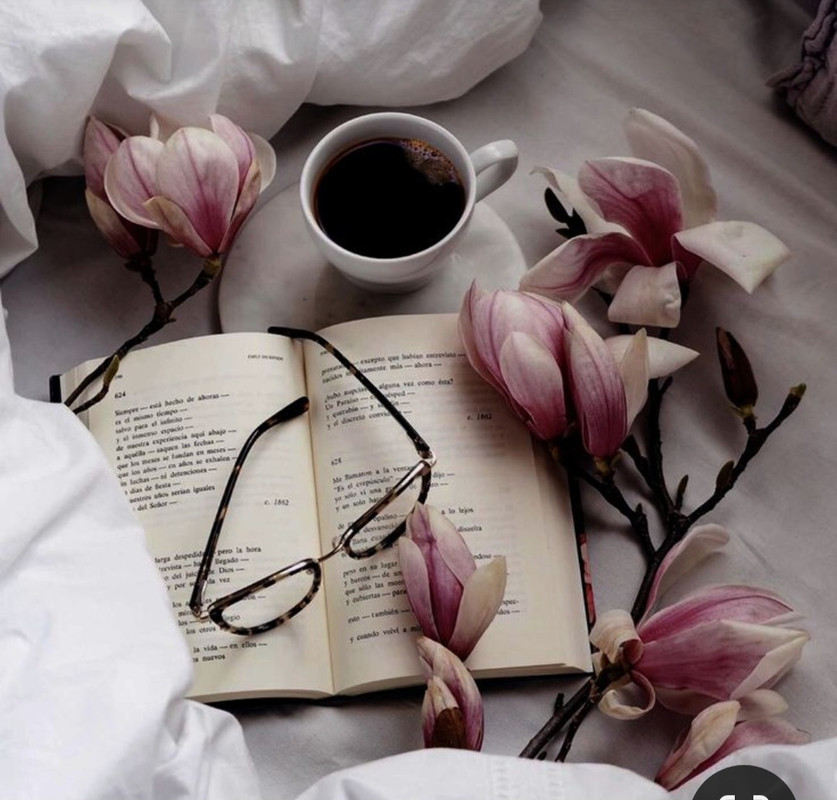 Screenshot_20240506_230744_Pinterest