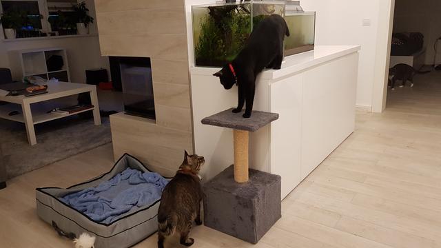 20190408-221253.jpg