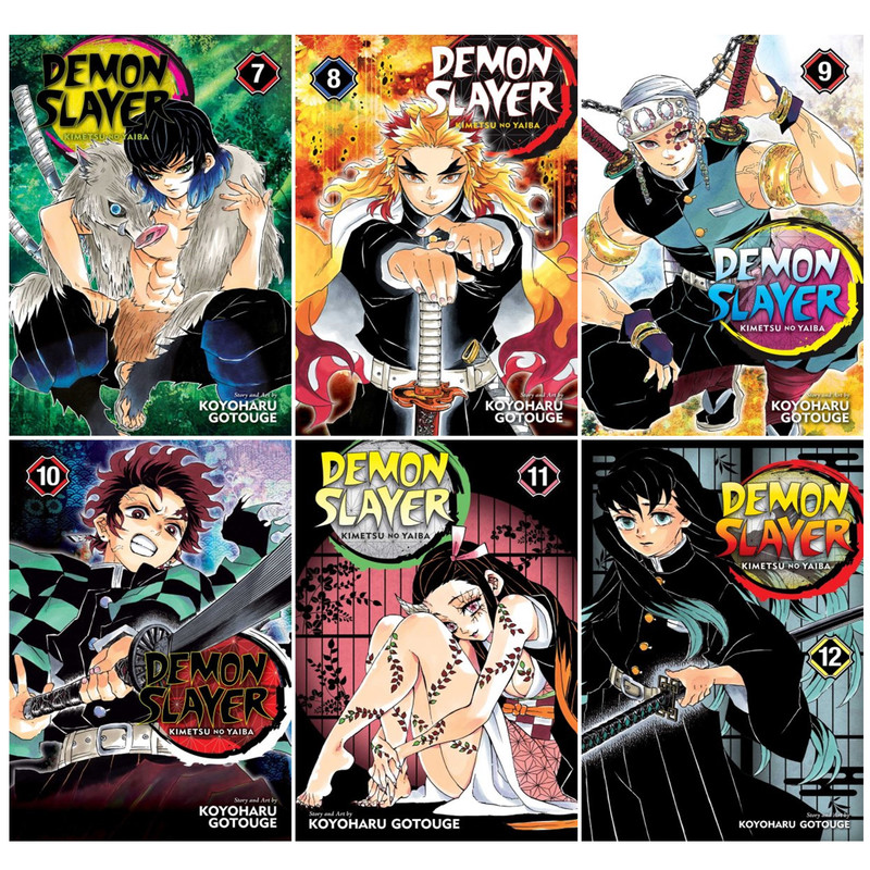 Demon Slayer: Kimetsu no Yaiba: Demon Slayer: Kimetsu no Yaiba, Vol. 3  (Series #3) (Paperback)