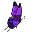 https://i.postimg.cc/x1tWTbG8/papillon-manifique.gif