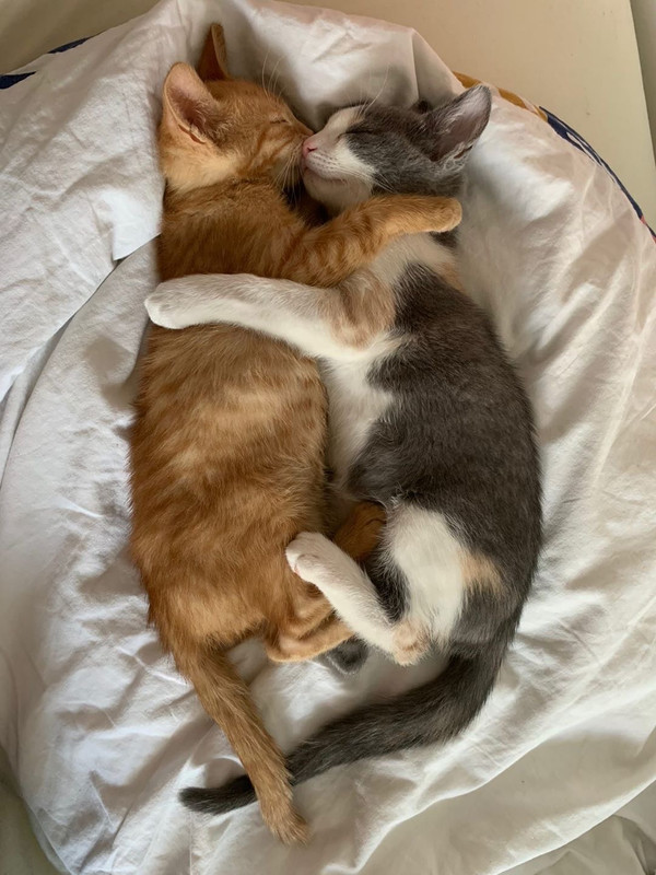 49350319-6F8E-4621-9B88-285D3837359A