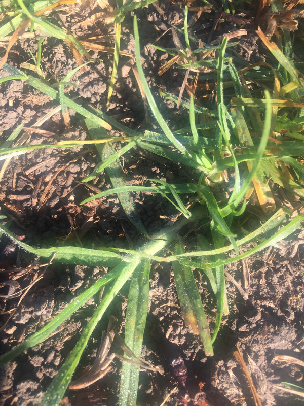 17BFAC44-57B9-4CE5-BB83-541230B09D73