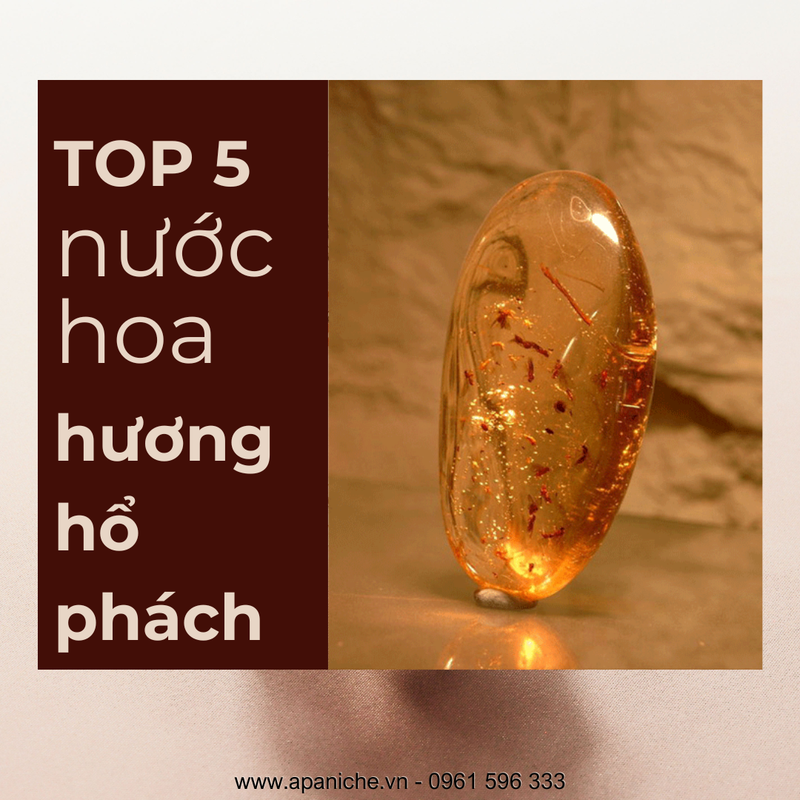 top-5-nuoc-hoa-huong-ho-phach.png