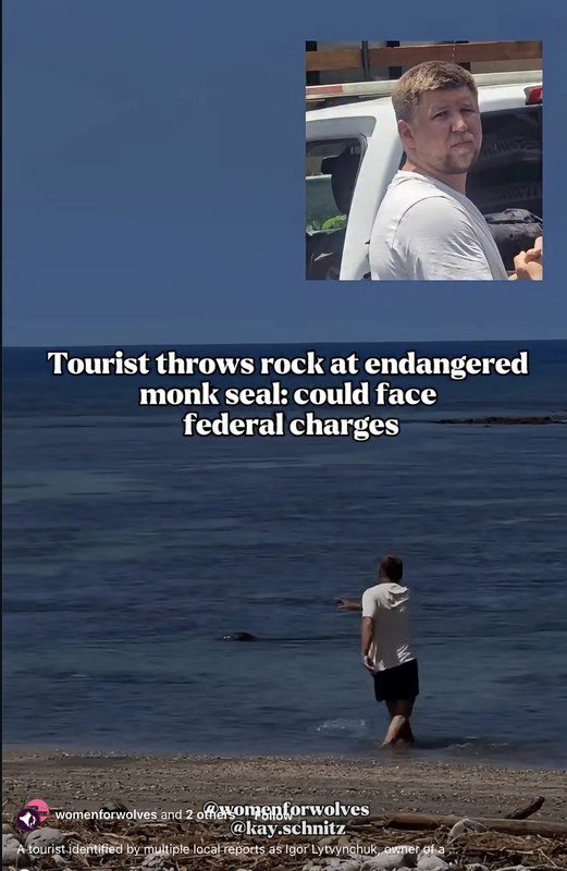 https://i.postimg.cc/x1v9JhvV/IMG-4276.jpg