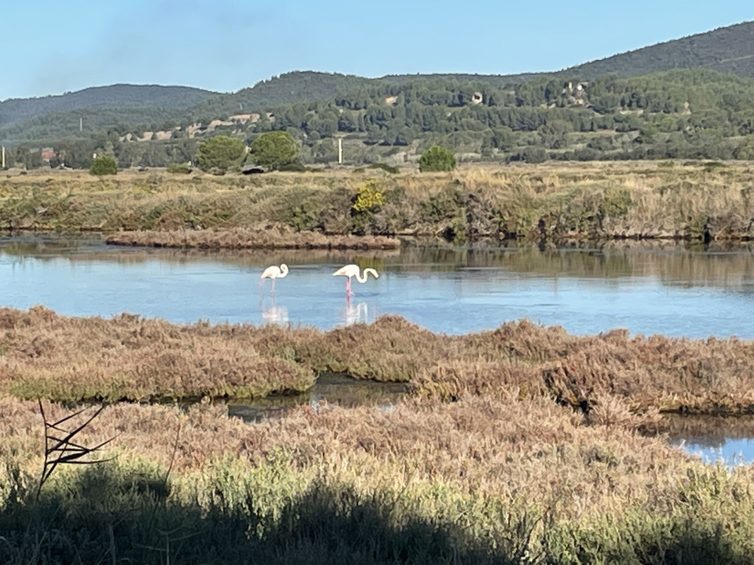 A168F8F1-3EC7-4975-AC00-70C03046928E