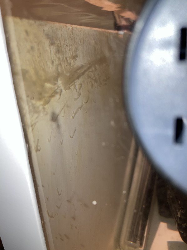 0684D3D0-E11B-4BC6-8241-59A38B12BA94