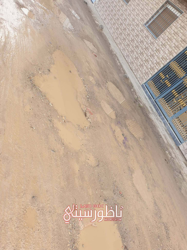 8e902dcd-3058-4b91-8239-c5be93635f6a