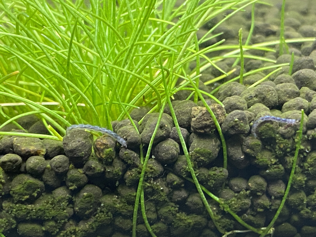 51466E16-EF05-407E-B3CF-708DBB5580A3