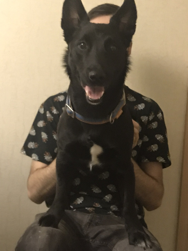 IMG-f0efc3c349d9b816ac20cab9596644ae-V