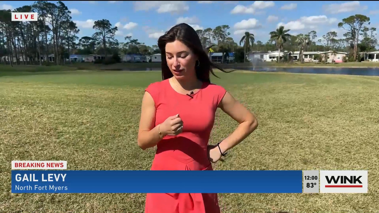 02.02 - 17.00.00 - The WINK Noon News  ᴺᵉʷ. Midday news update..ts_snapshot_06.39.700