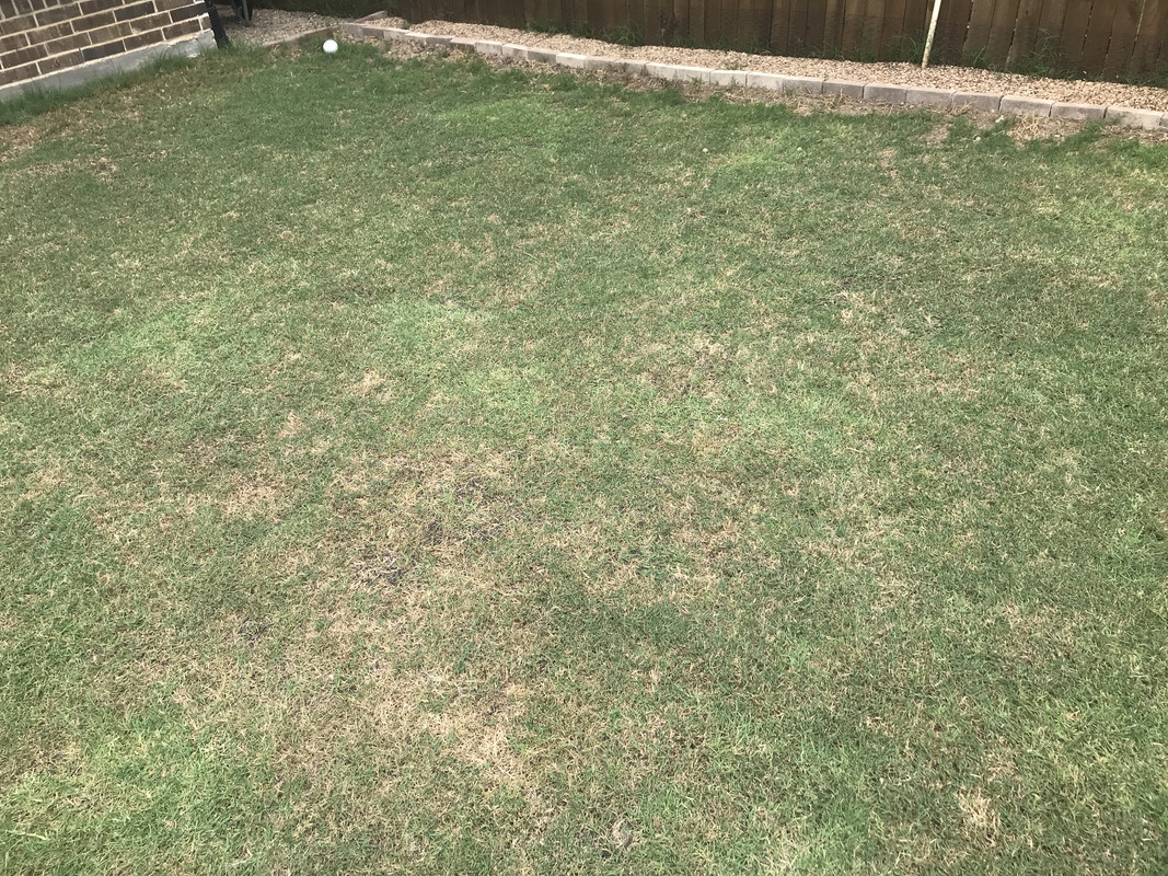 A0206254-B51D-4356-A5B0-D57B1871599B