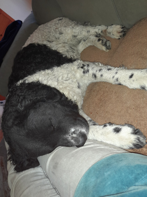 DAB0AA05-6D44-4D50-A942-AD5F5EBFBEC5