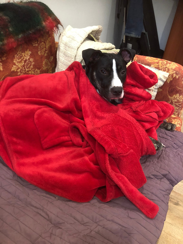 02B797AA-F11C-4671-BE90-0AE0EFF7A14A