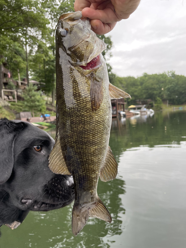 6D59E306-BB50-43B3-9081-53923BFAC2FA