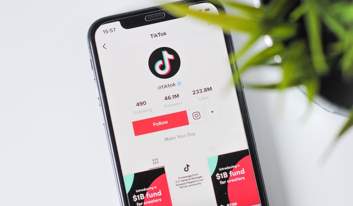 Exhiben en TikTok lo que pasa con las sobras de los pasteles en las bodas