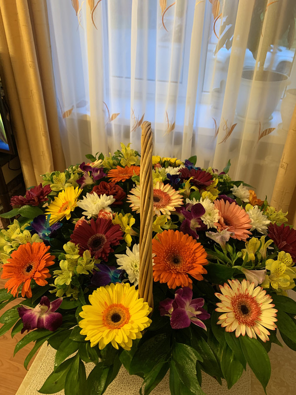 B4A0458F-5B26-4188-9D69-A53C8367C3D9