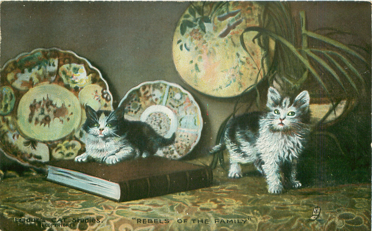 15-2011-06-15-17-36-12