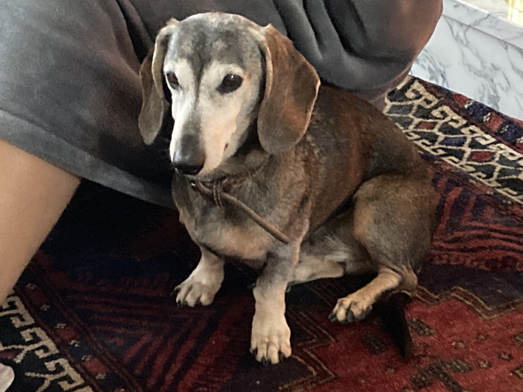 [Image: IMG-4057.jpg]