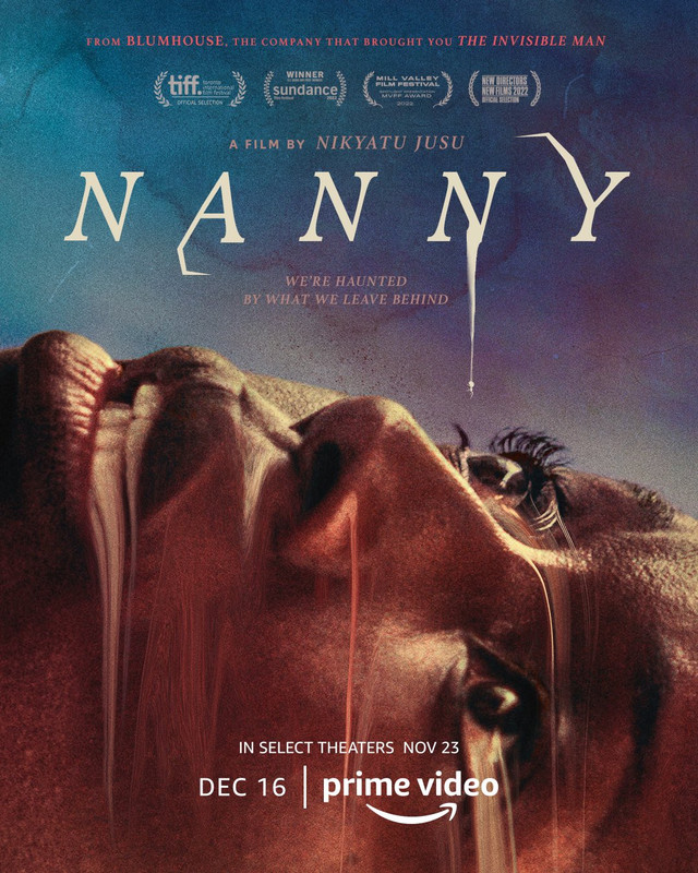 Niania / Nanny (2022) PL.480p.WEB-DL.XviD.DD5.1-K83 / Lektor PL