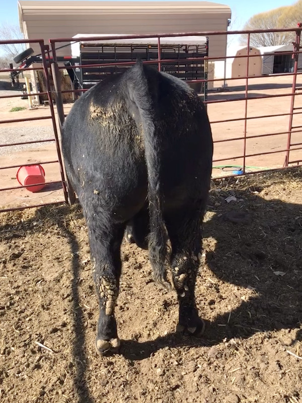 278AD8B3-D939-48C2-9BE6-5796D8563C23