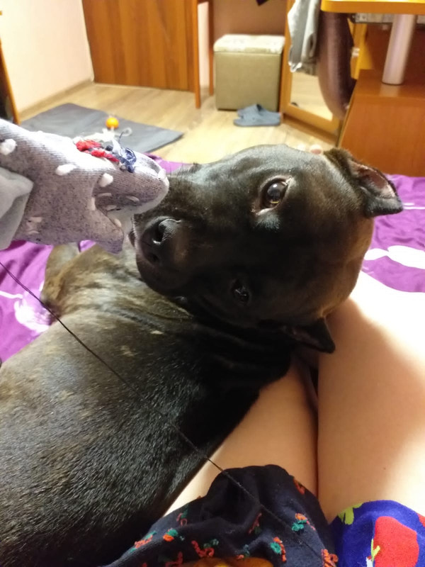 D5D2562C-68CF-4EE9-96FC-4FF75C69700B