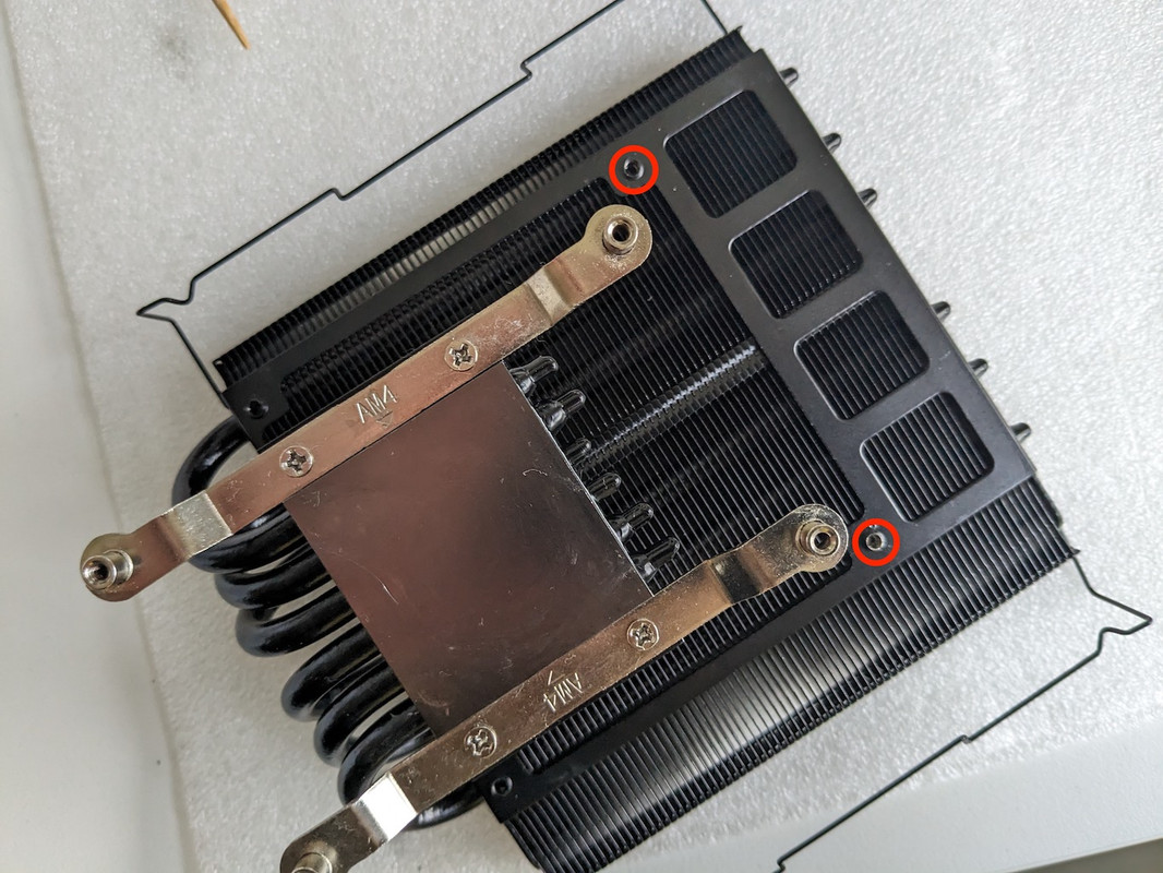 PXL_20231202_100602332