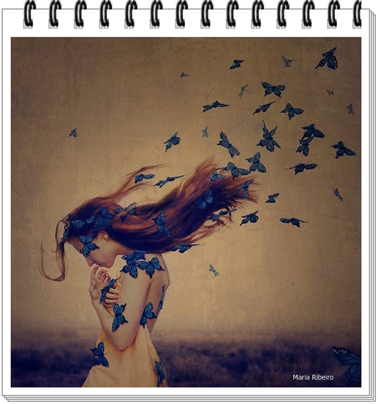 Janela num espa�o repleto de sonhos🌻