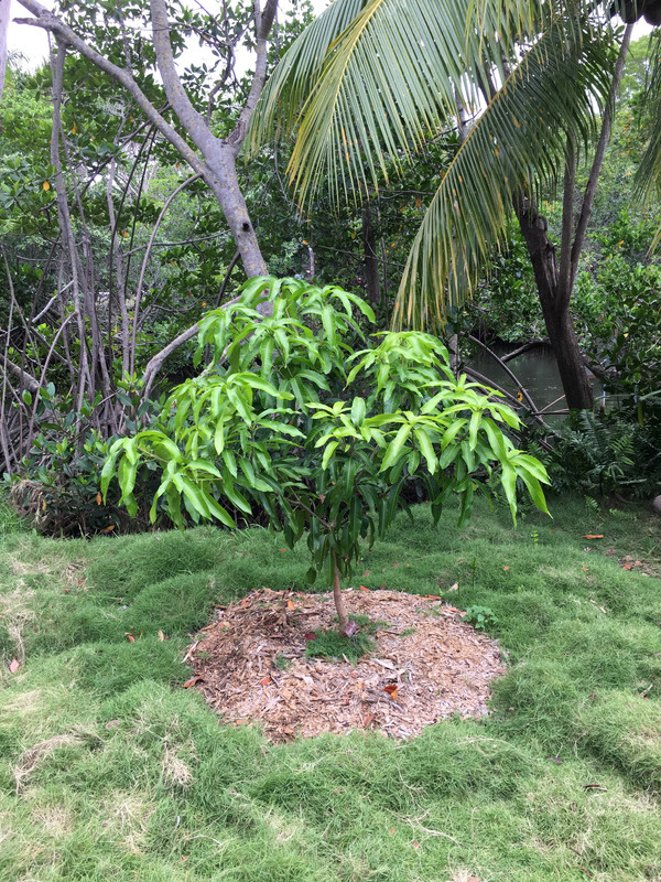 E73597C8-8C79-4DA5-ACB5-3900D8CFFC38