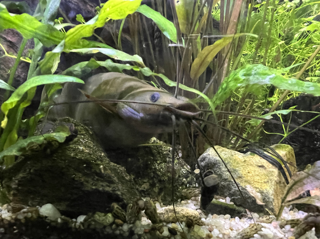 51D25BE9-80EE-4FFC-AE00-CBF436263F7E