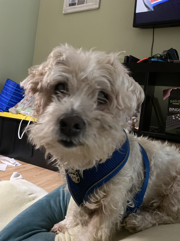 65152454470__1BE09590-5BCE-4D9D-BDD0-08C5BBCCFC28