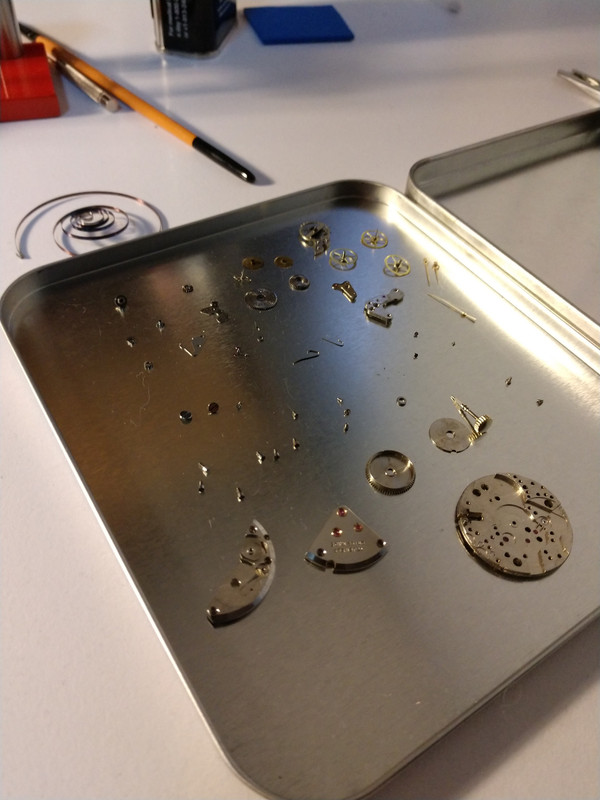 MVIMG_20190504_191357452