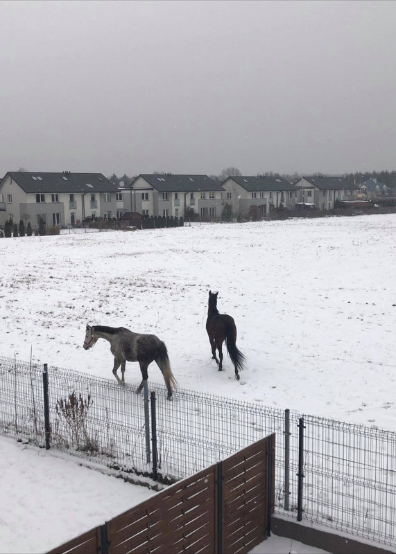 149326863_451064189584163_5857384935527832164_n