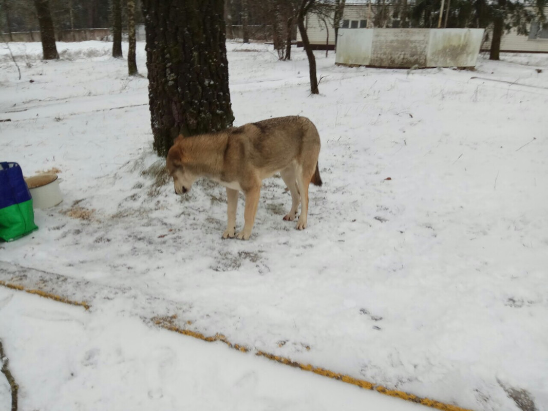 7B2828BF-ECB3-45DA-B1A6-C9B00915EB3D