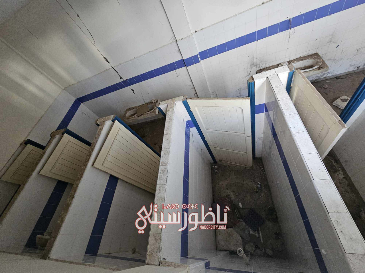 576144184-1921252812161563-1145980099508623461-n