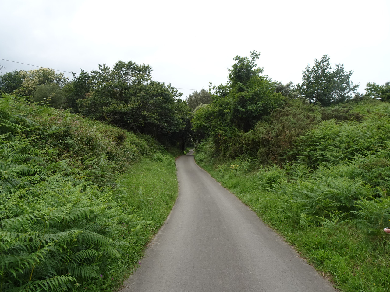 DSC02225