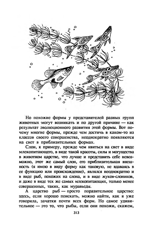 p0317