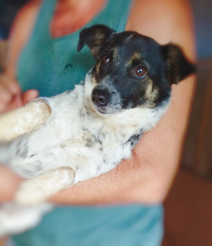 23AE9F9D-D184-4B26-ADAD-ED99A80001D5