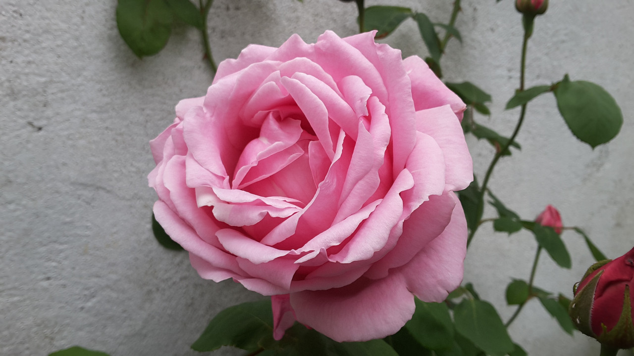 [Image: 20190525-115401.jpg]