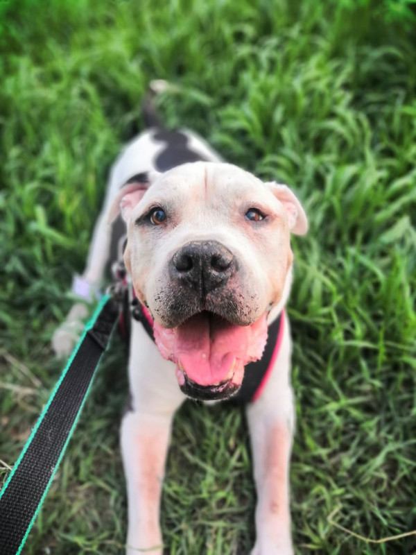 9F1949C4-FFCE-45C2-B487-2EB7C03B253E