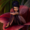 TBVid-Flo2-Icon