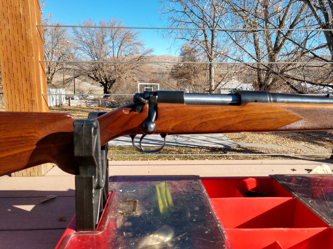 IMG_20191116_113607784_HDR