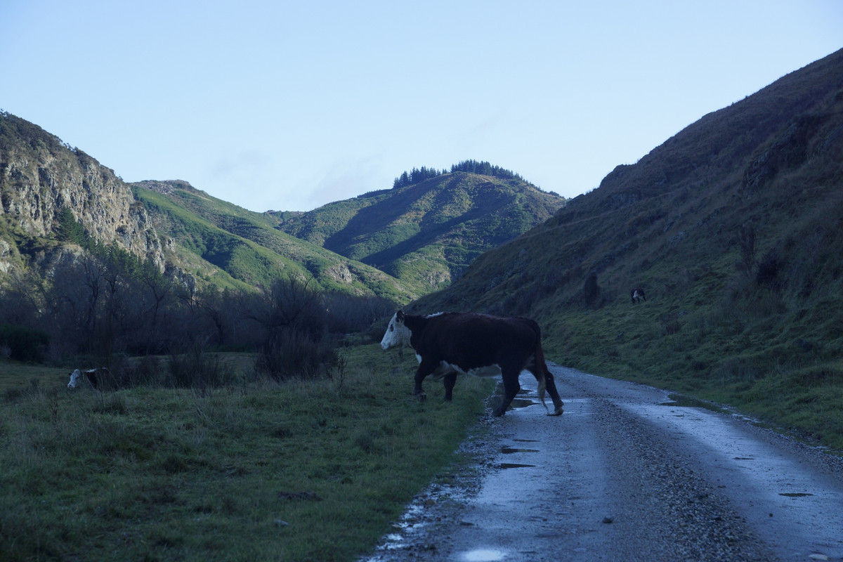 _DSC5600 (1920x1280)