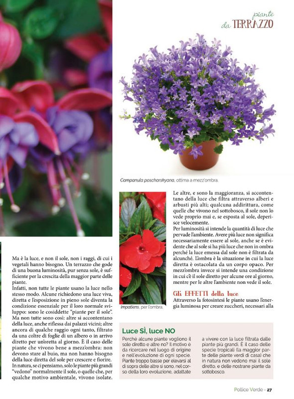 Pol Ver Giu 2022 (4)