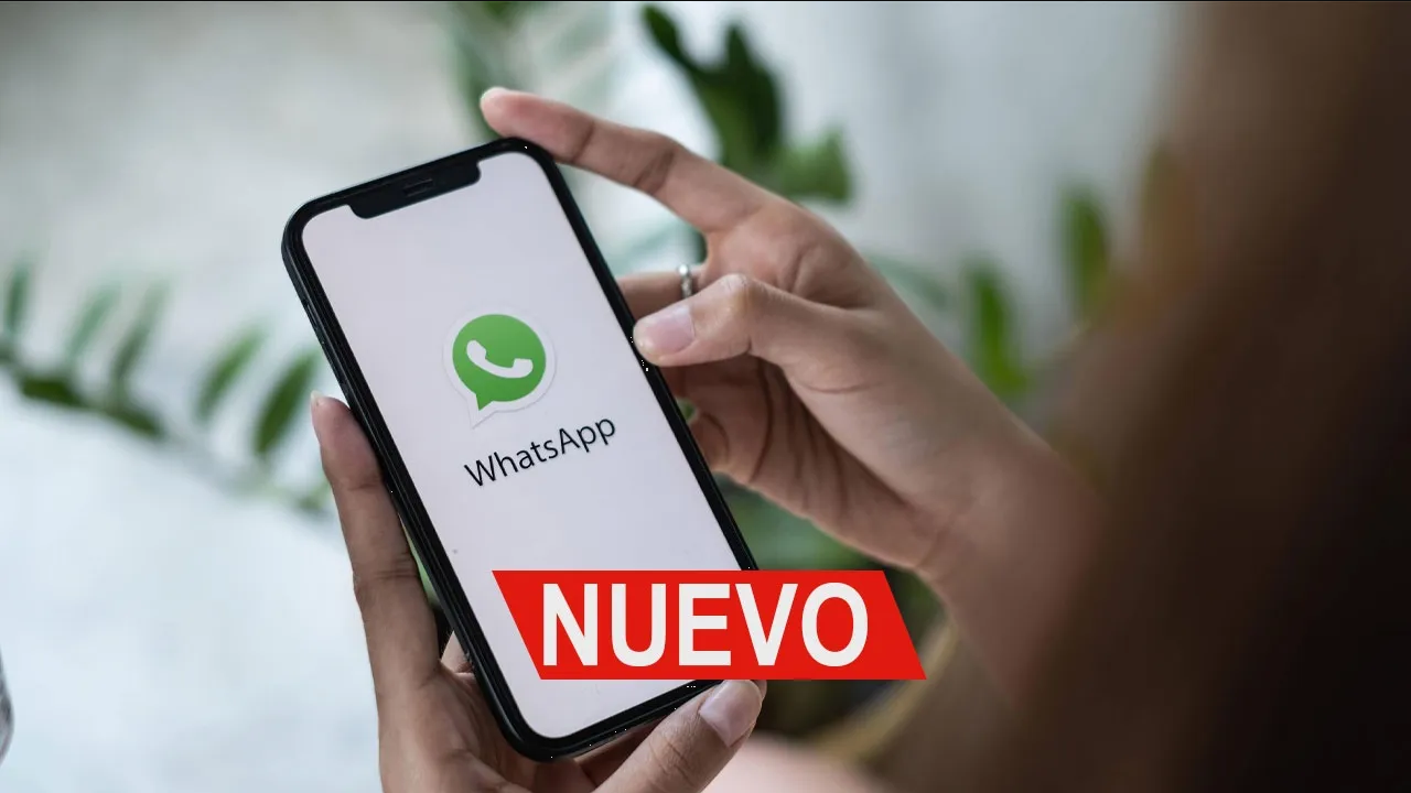 WhatsApp: Estas son las 5 actualizaciones que debes probar en 2023