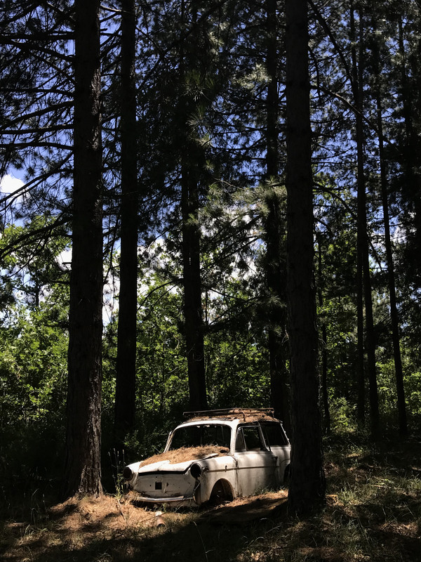 116BB4FC-AF50-4C77-86B6-67457835147B