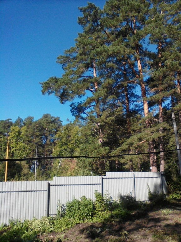 Вид на Запад-2 [1600x1200]