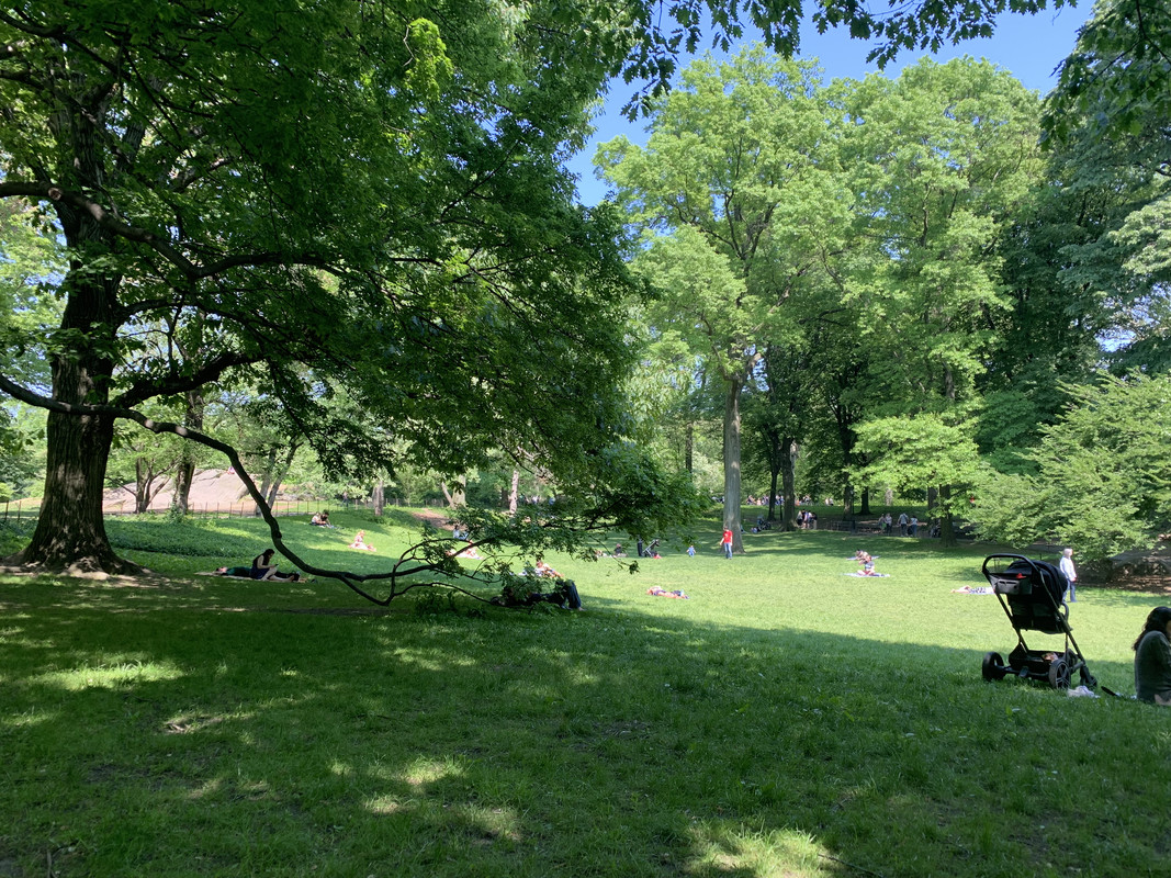 D6A09737-6705-4669-A446-4091EF159CB9