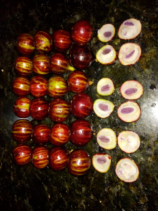 WhatsApp Image 2020-12-20 at 00.10.49 (17)