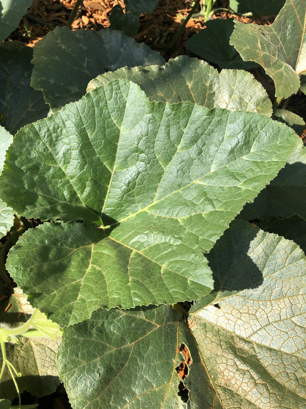 E160DBB9-EA85-4059-A17A-997405D55B2E