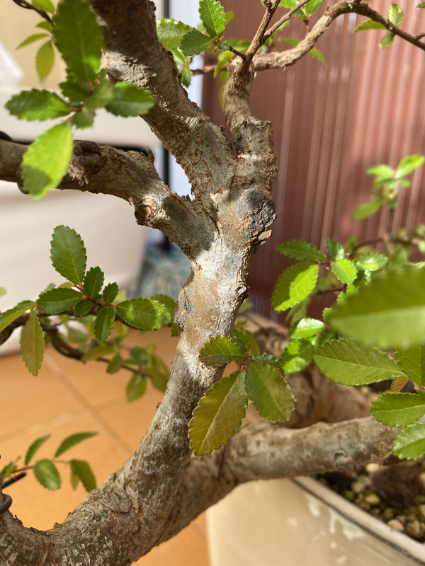 42A57343-6E53-4E48-9FB5-DB2652985E2C